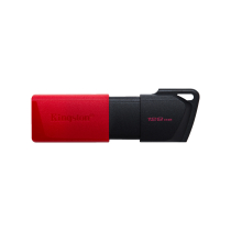 KINGSTON Clé USB Exodia M 128Go