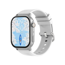 DEVIA Smart Watch Pro2 (Argent) (ZL94)
